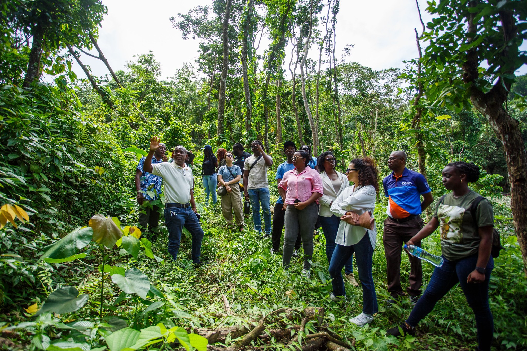 514966617_708094891998391_7878097570699016919_n