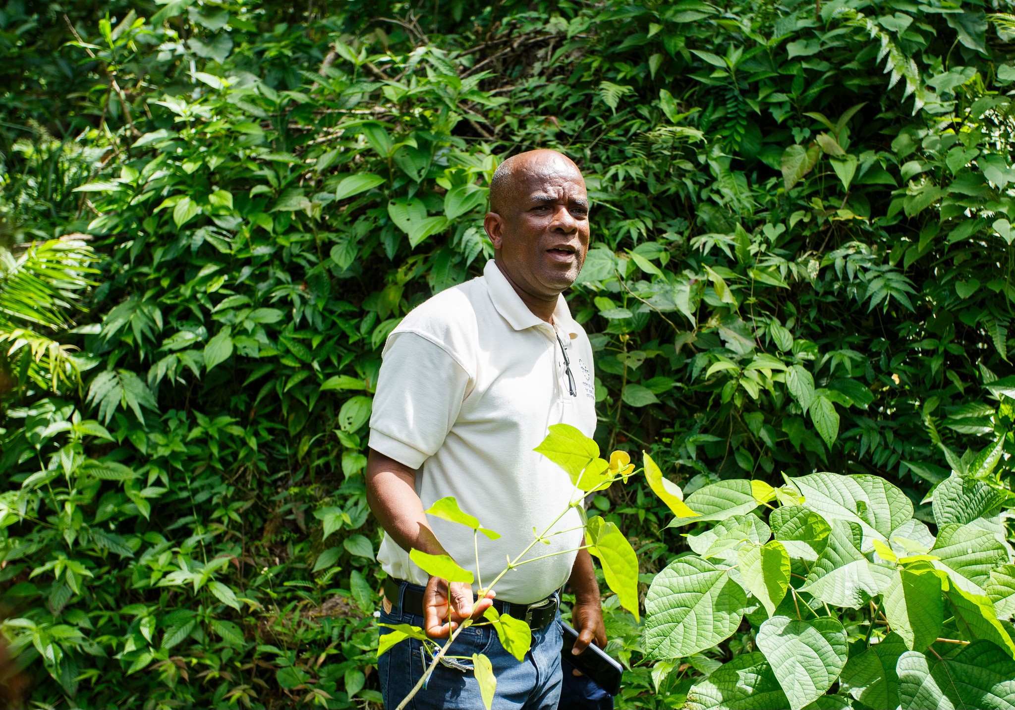 514992293_708094765331737_935334056511290690_n