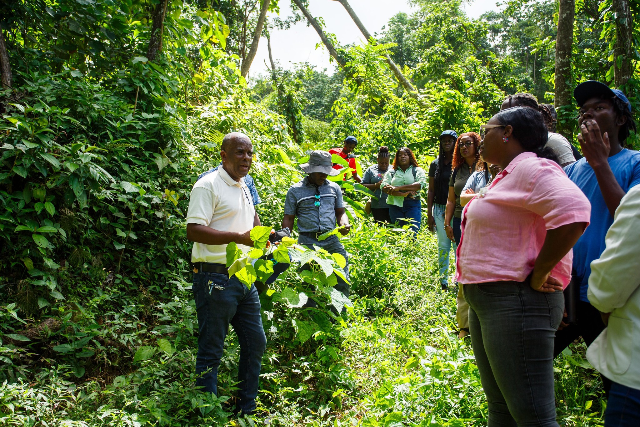 515286224_708094801998400_8084965280036066814_n