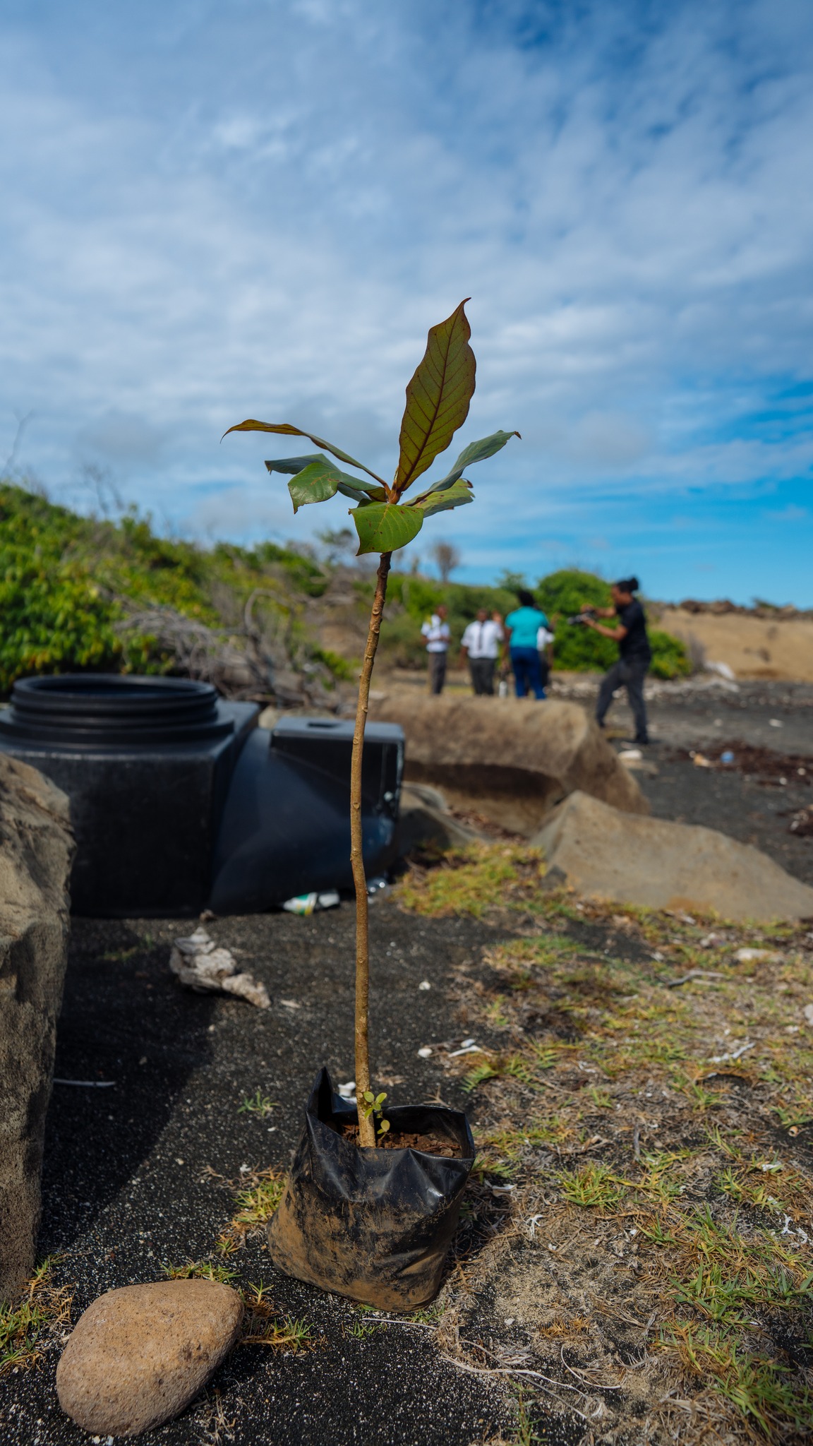 560278395_1204555831695879_8707373983050683490_n