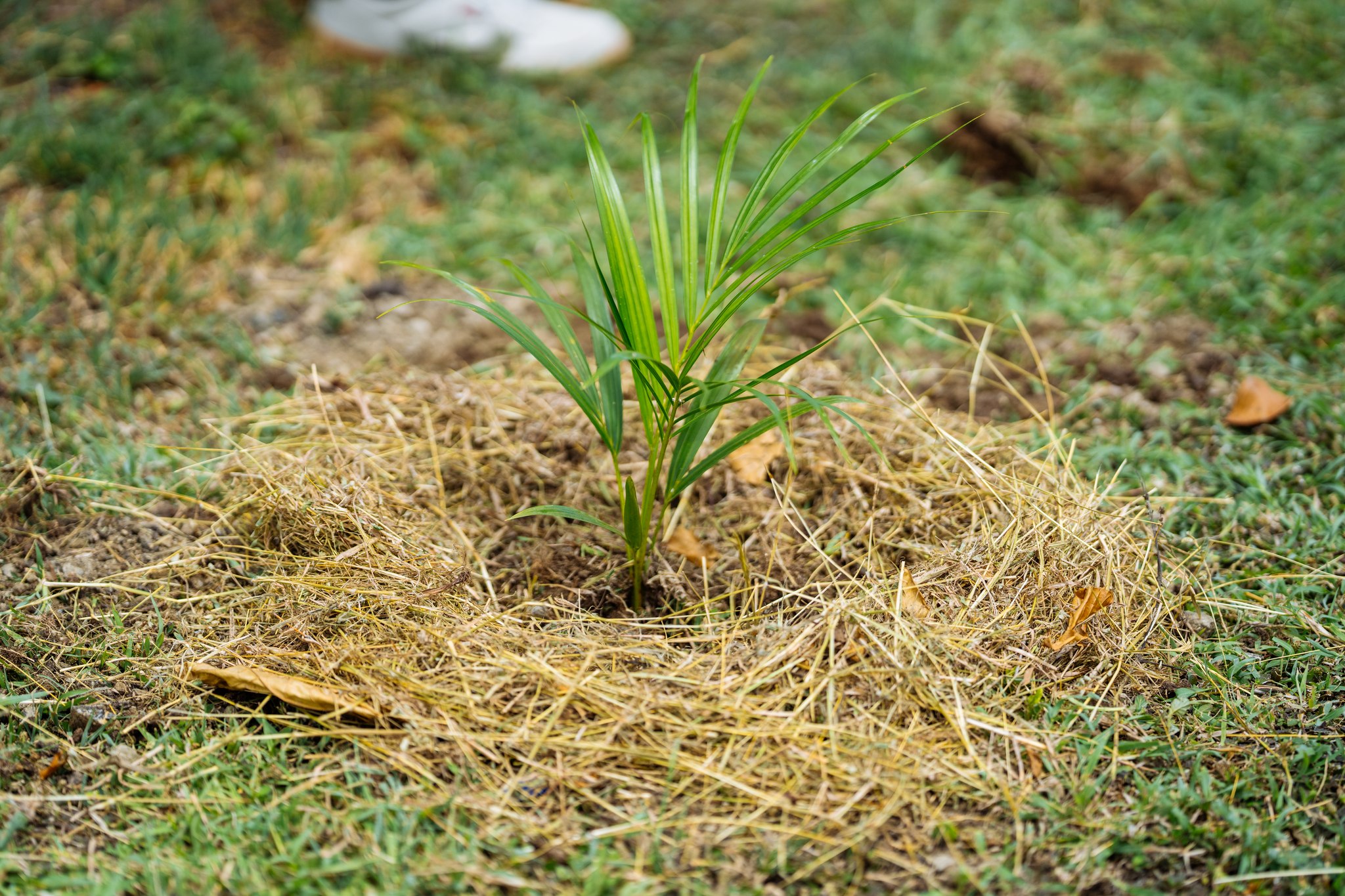 561201734_1204556158362513_2427963943026961413_n