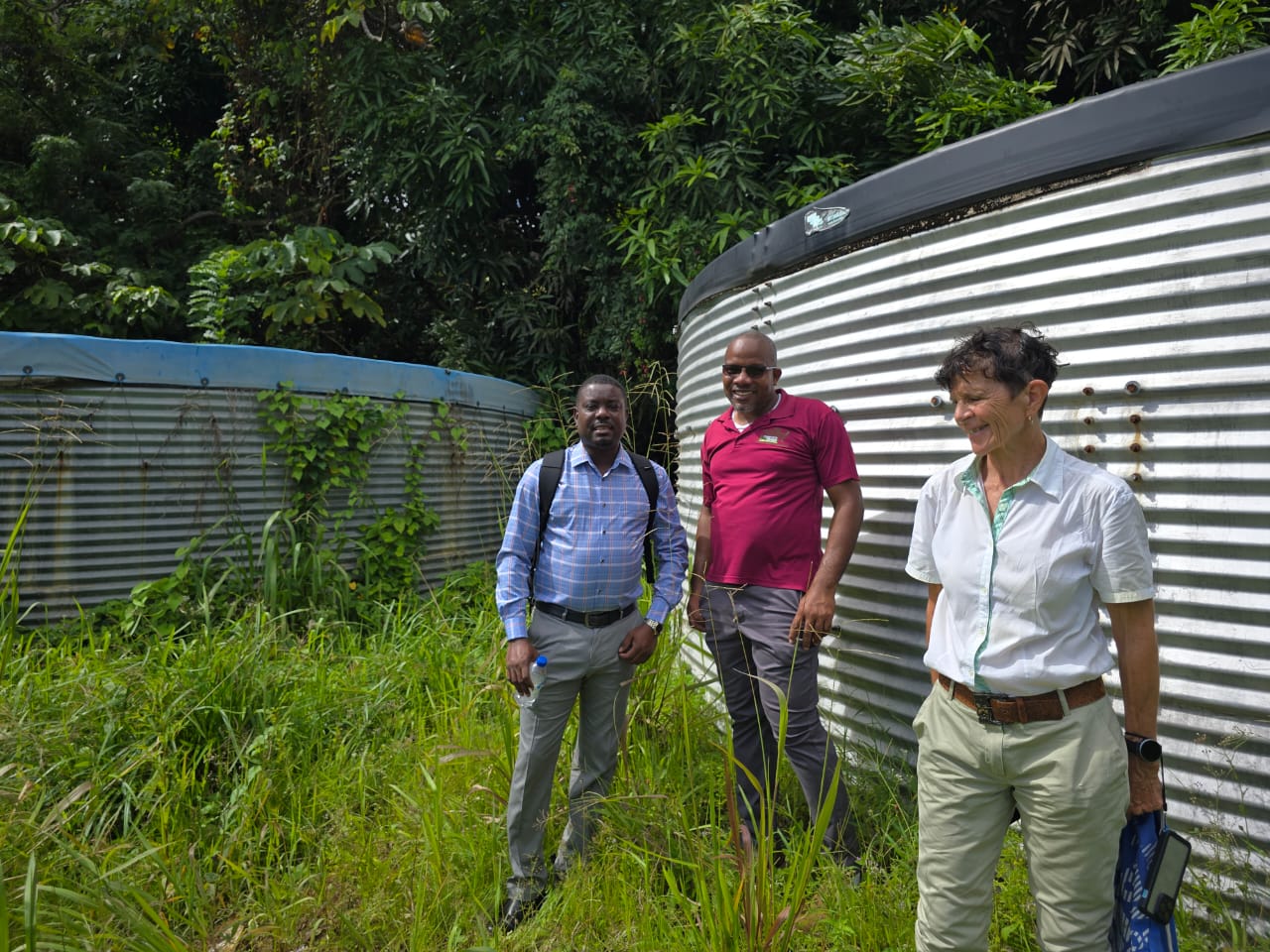 original-34D23141-D604-4F4F-B53B-13C2223CE541