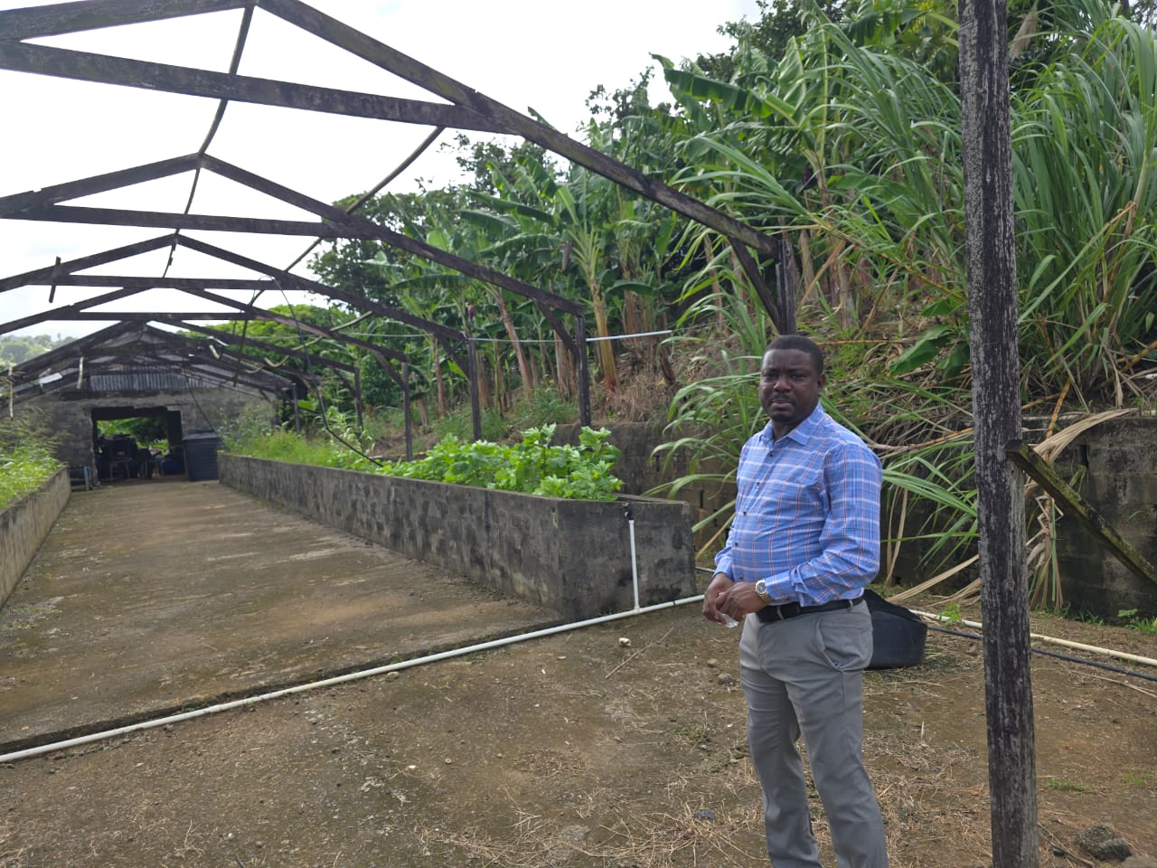 original-4A4D737A-28A0-4B10-B8FE-8F77E52B1F1C