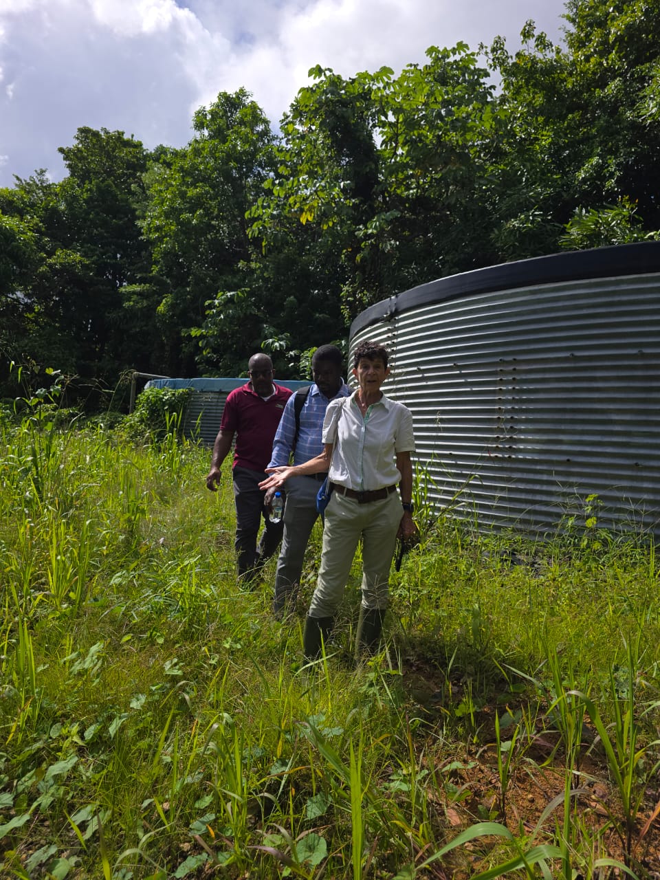 original-854581B8-227C-4089-9B51-B7C003C4D83D