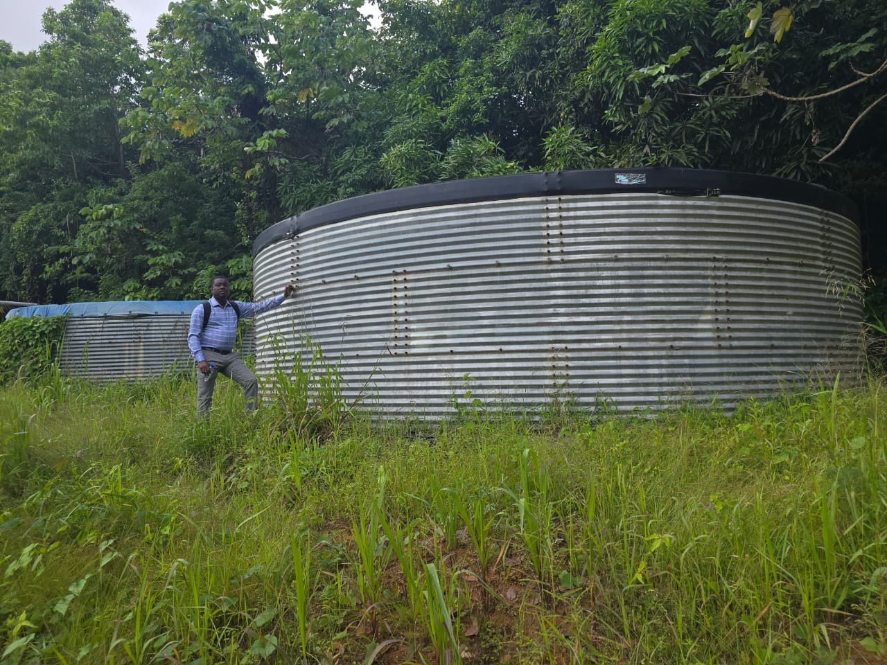 original-B3F53D56-86B7-4023-B47B-9994FD99279F