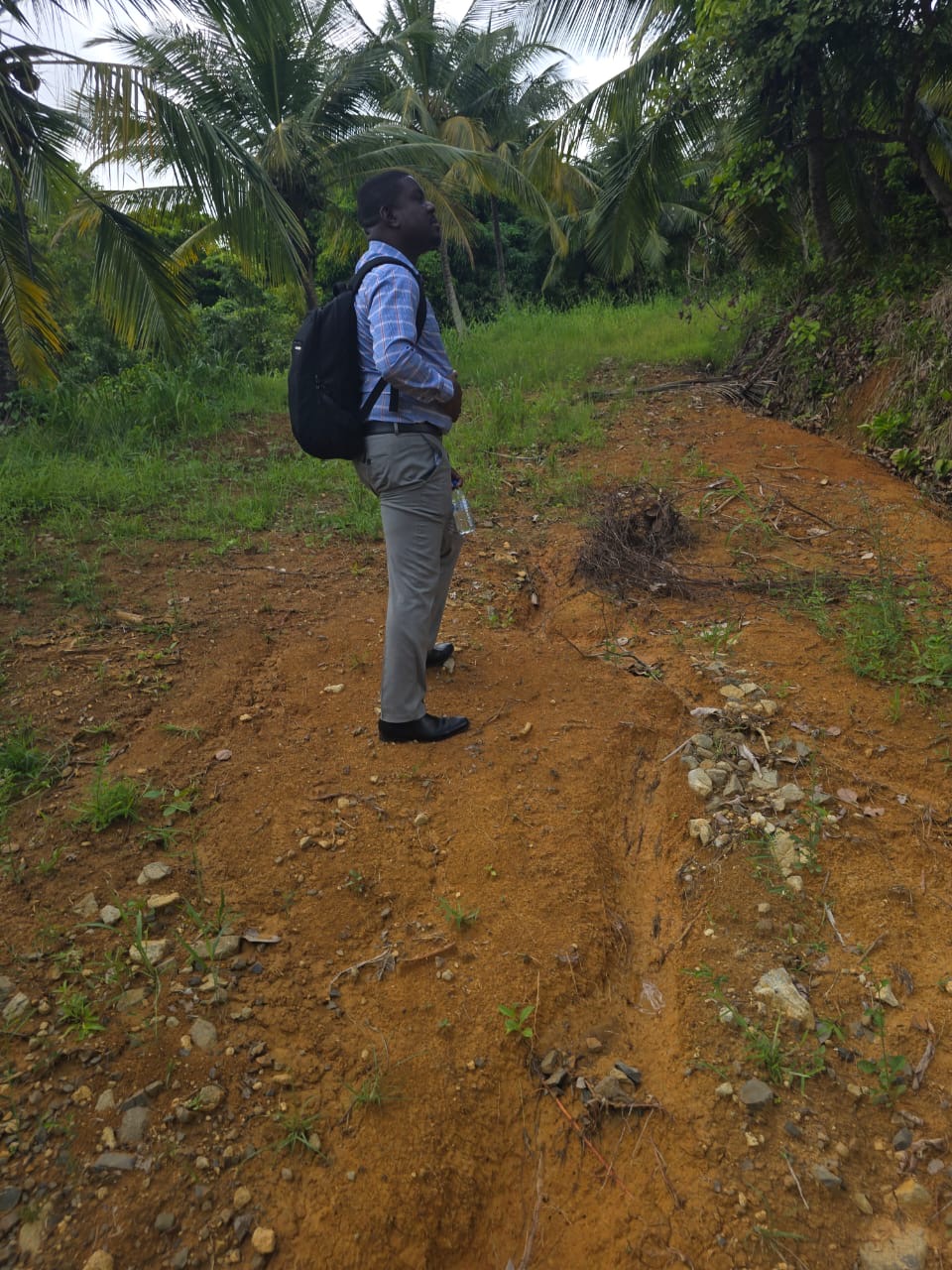 original-F7363A07-3D18-4750-90A8-0C33FDAB08A2