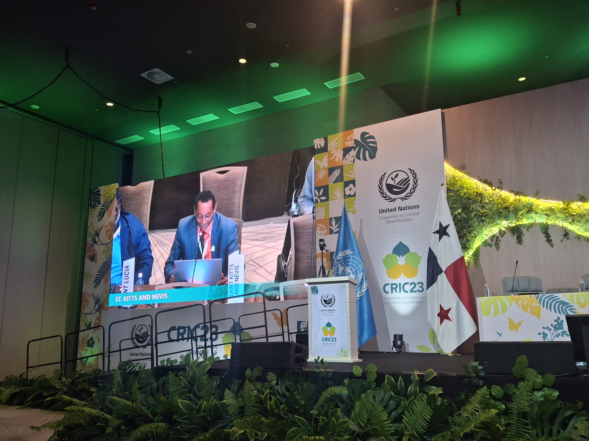 WhatsApp Image 2025-12-01 at 13.48.44